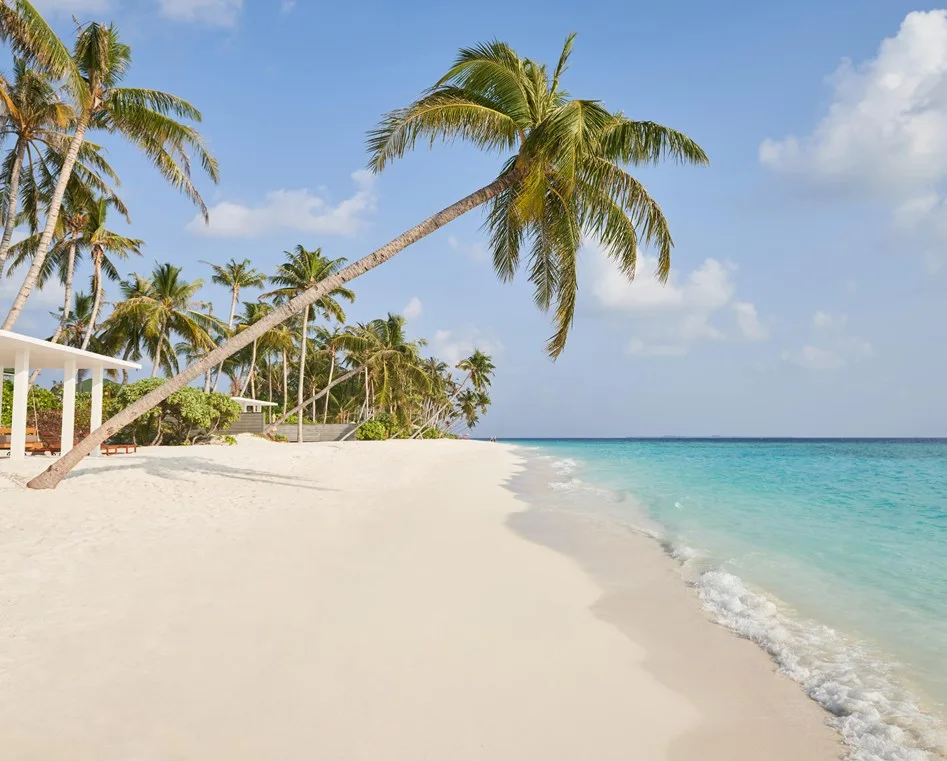Siyam World Maldives - Photo 1