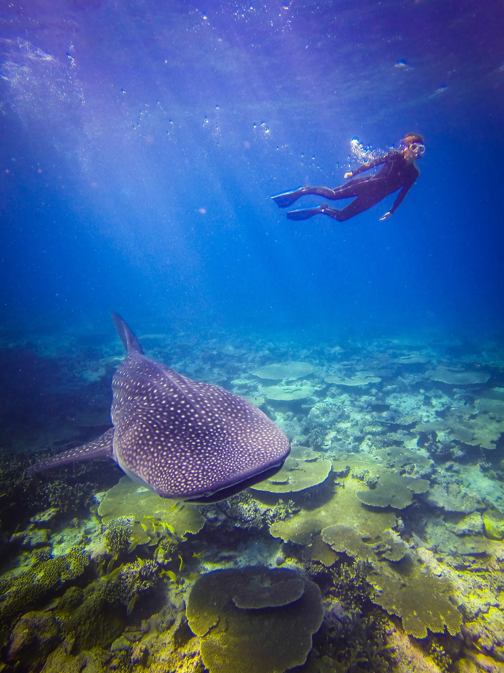 Anantara Dhigu Maldives - Photo 2
