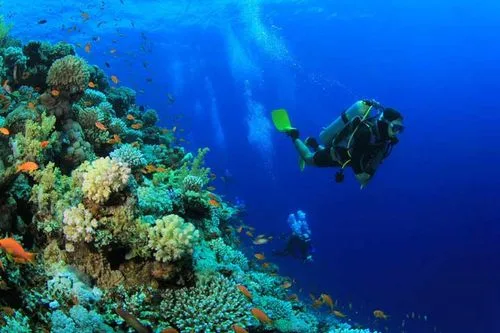 Emerald Maldives Resort & Spa - Photo 1