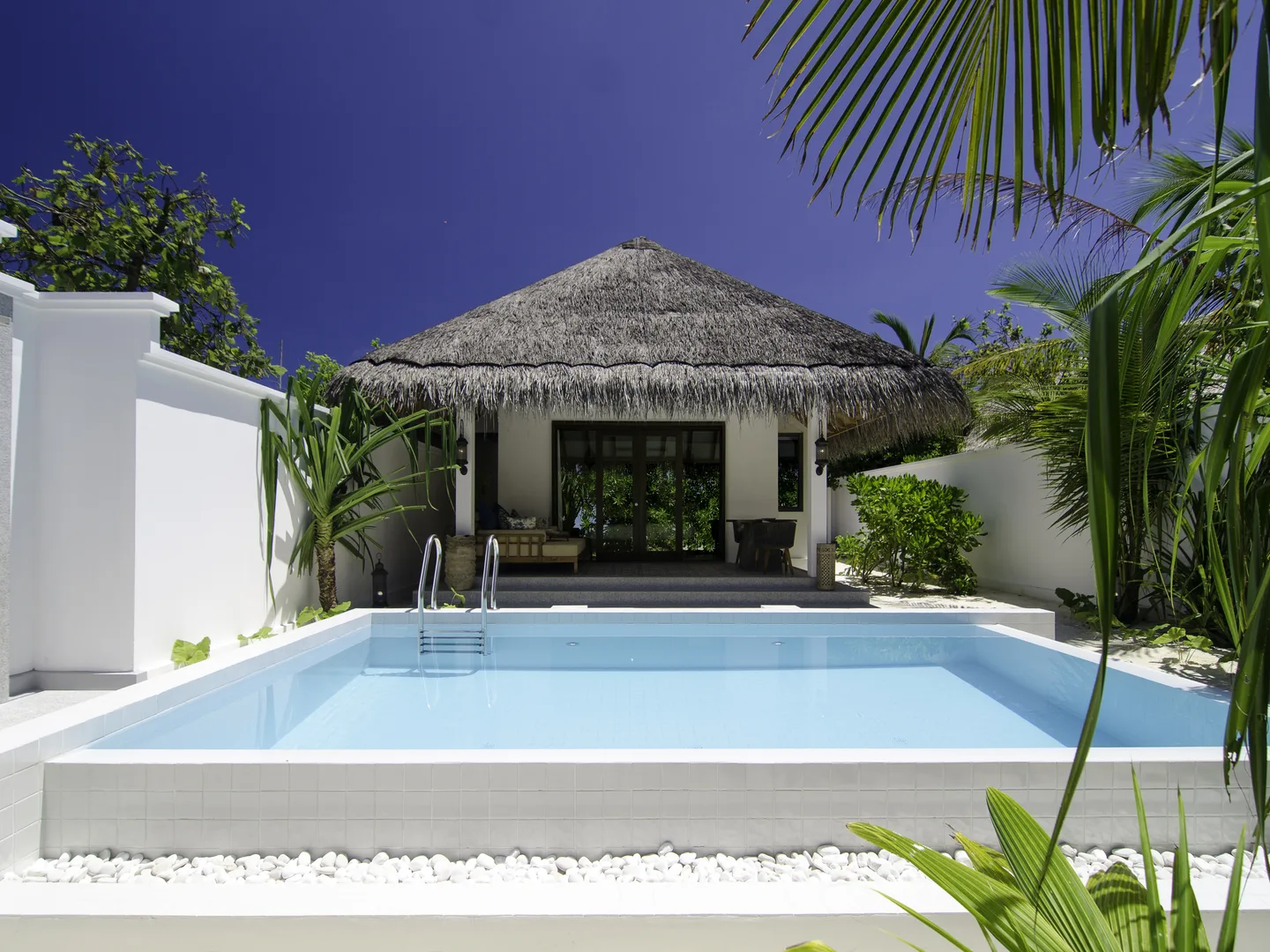 Finolhu Seaside Collection - Photo 17