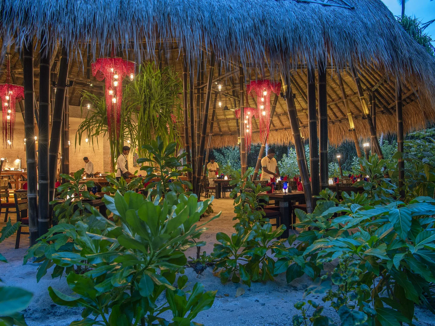 Emerald Maldives Resort & Spa - Photo 8