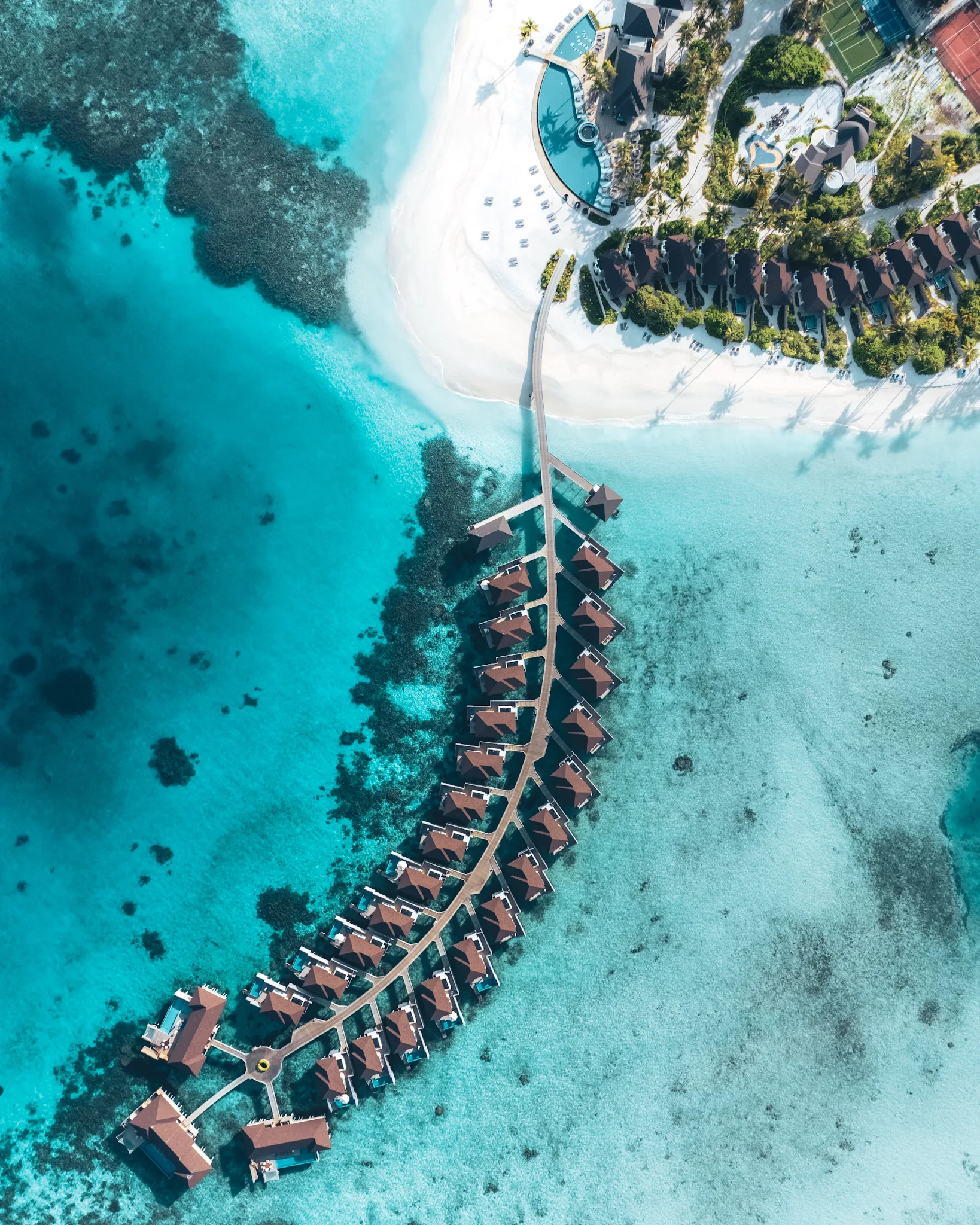 Avani+ Fares Maldives - Photo 12