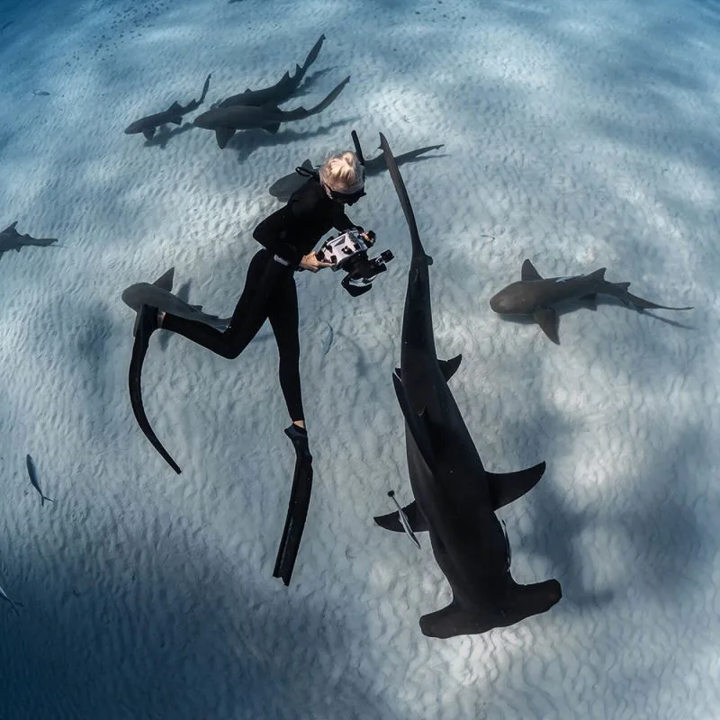 Como Maalifushi - Photo 17