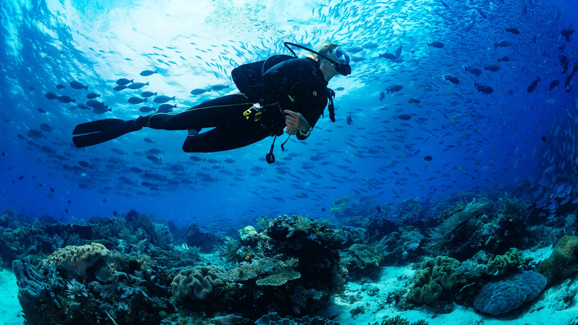 Hilton Maldives Amingiri Resort & Spa - Photo 8