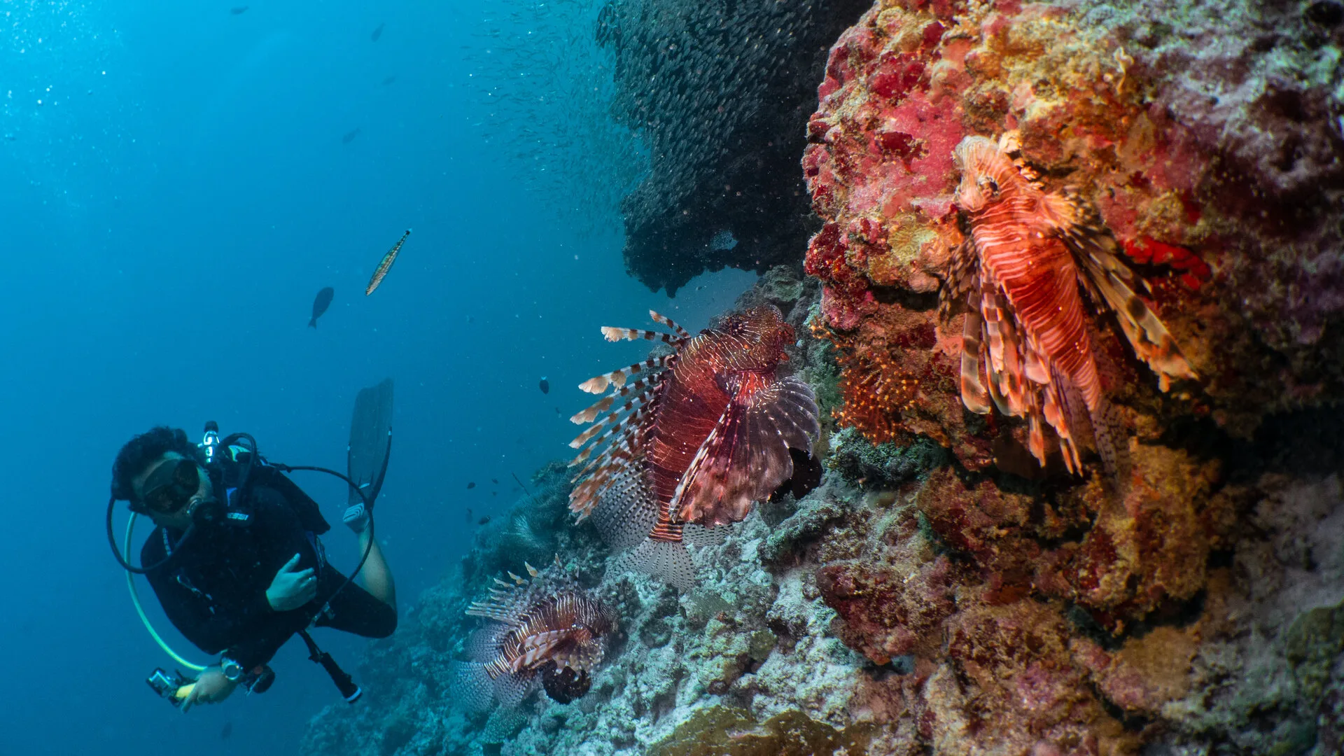 Amilla Maldives - Photo 6