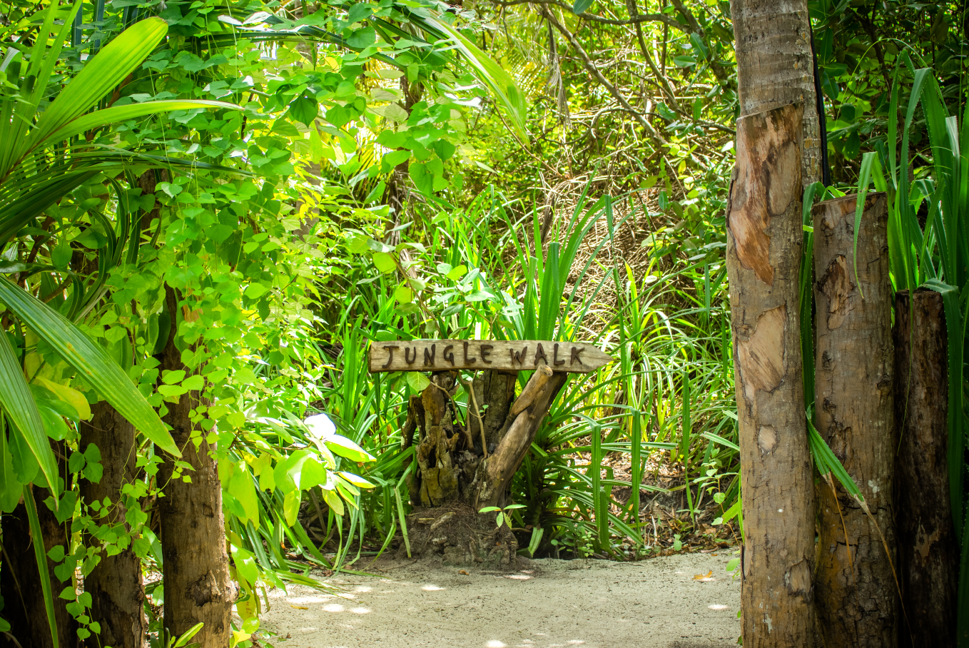 Dhigali Maldives - Photo 2