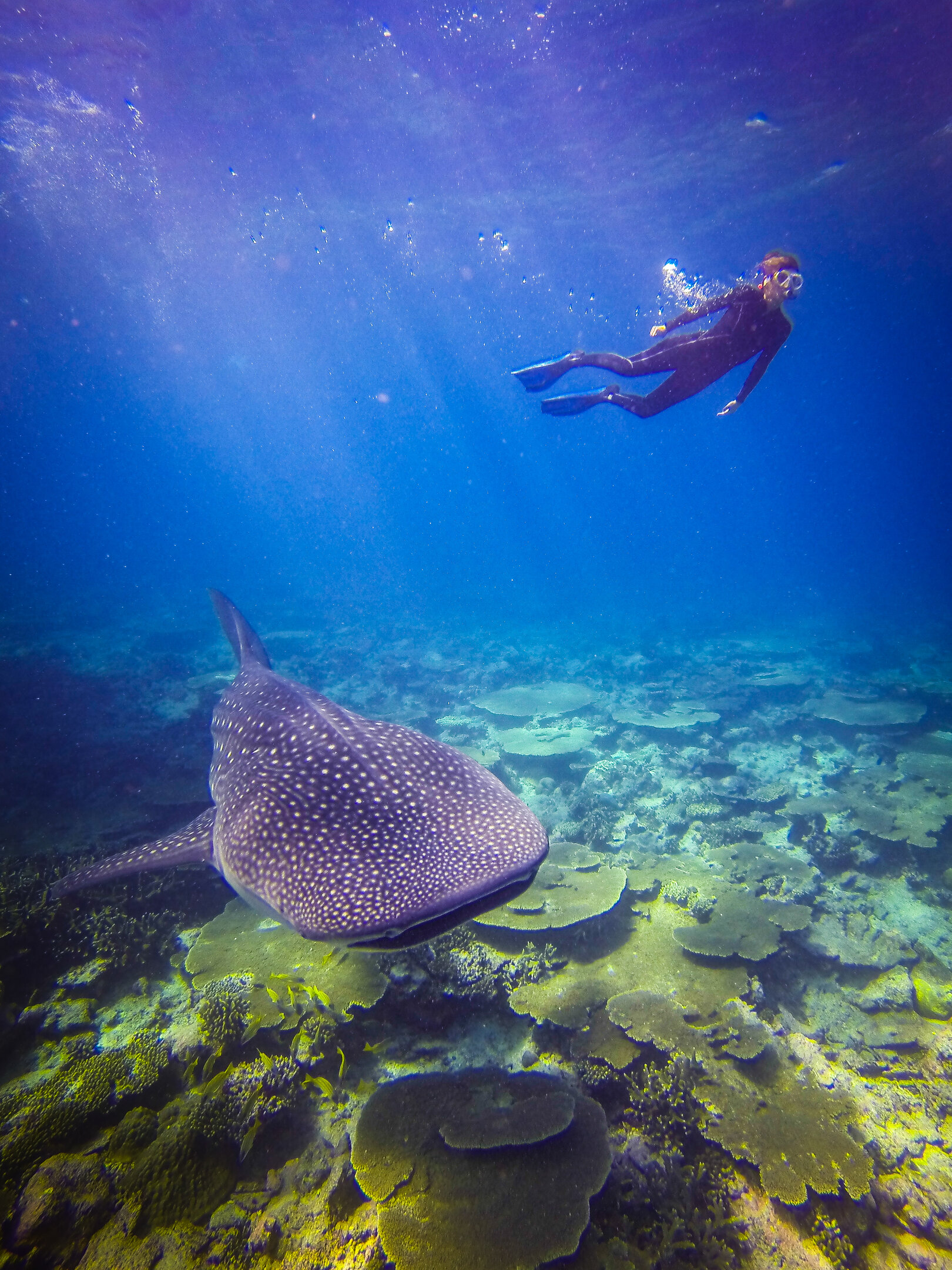 Anantara Dhigu Maldives - Photo 2