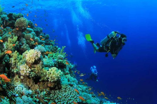 Emerald Maldives Resort & Spa - Photo 1