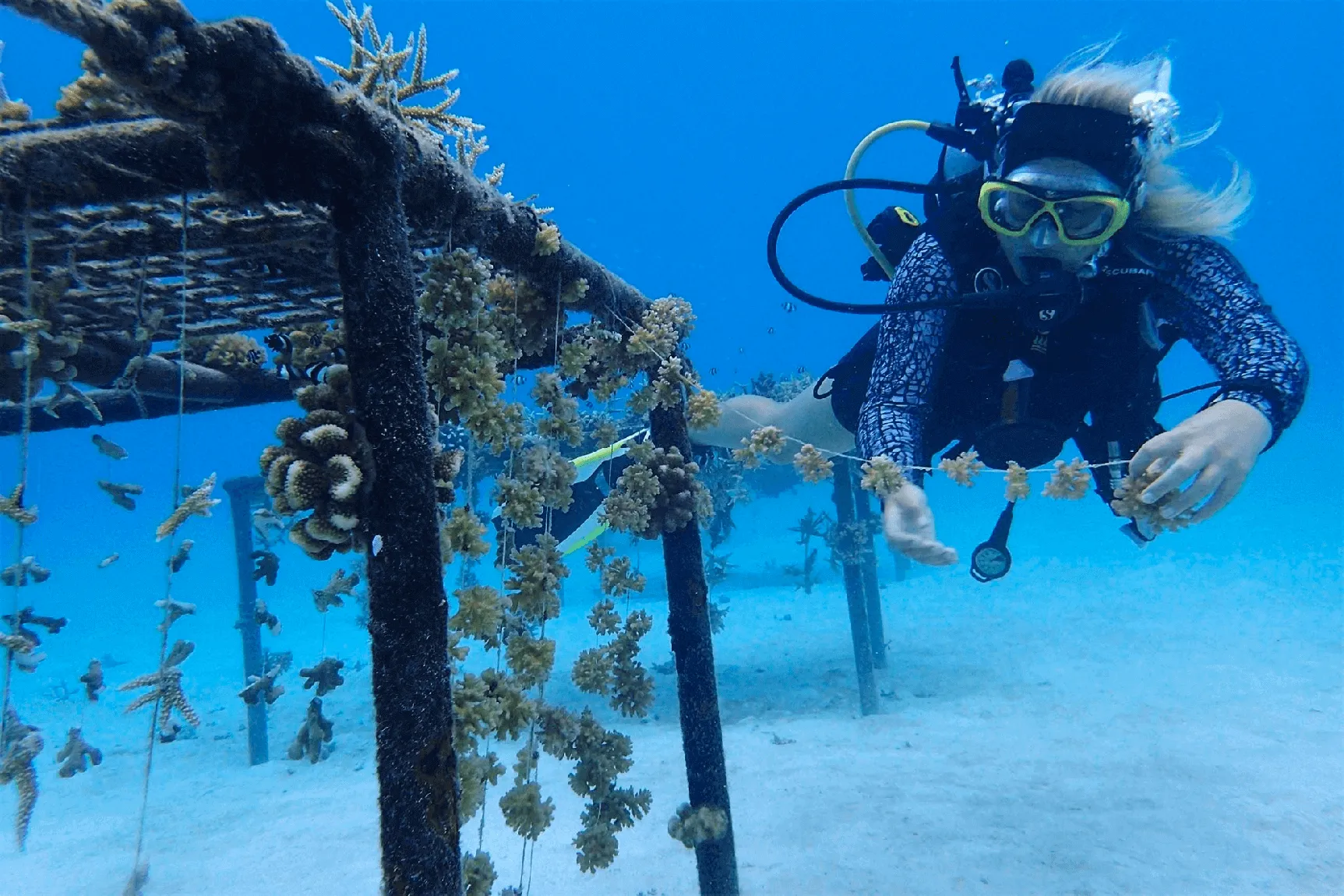 Huvafen Fushi - Photo 2