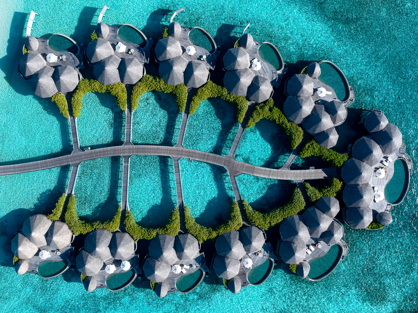 The Nautilus Maldives - Photo 6