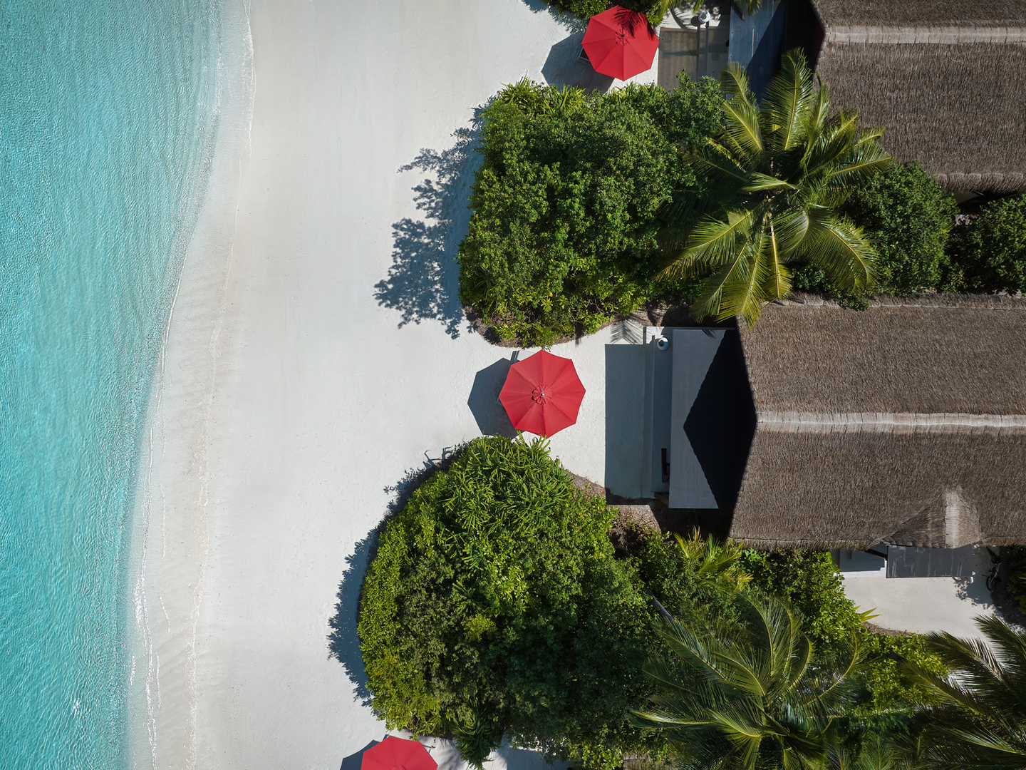 Niyama Private Islands Maldives - Photo 16