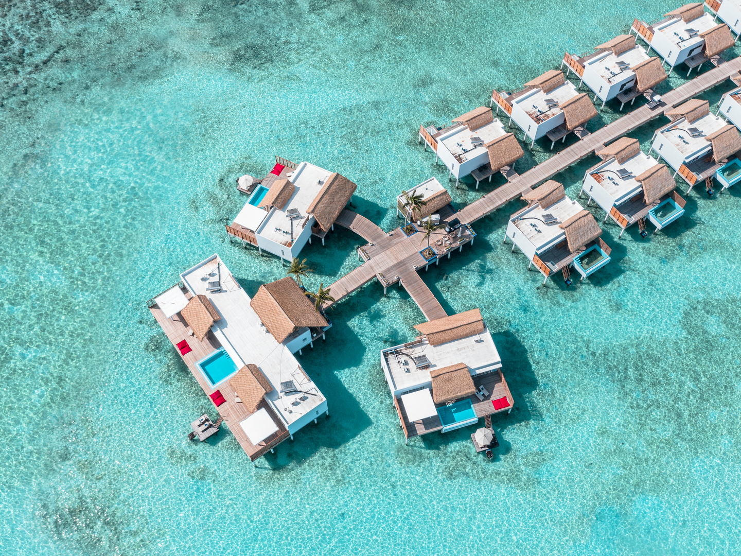 Emerald Maldives Resort & Spa - Photo 14