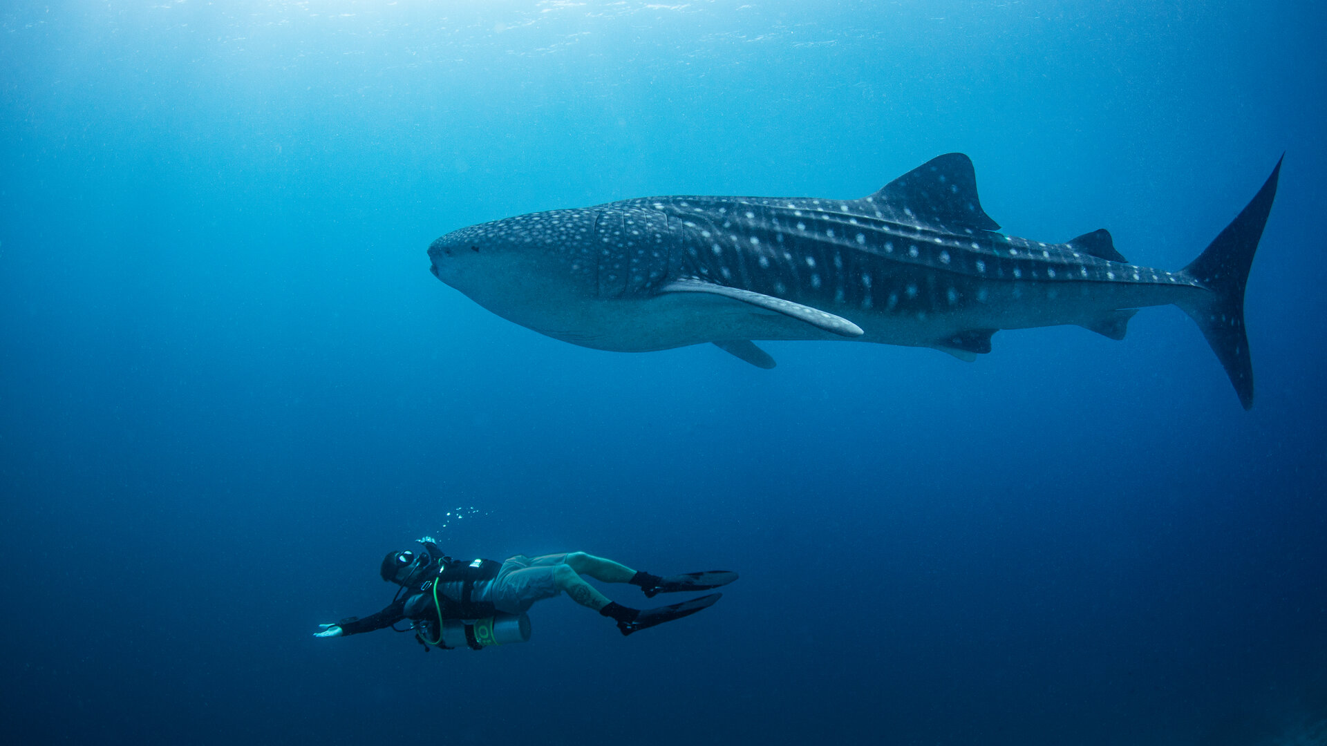 Amilla Maldives - Photo 4