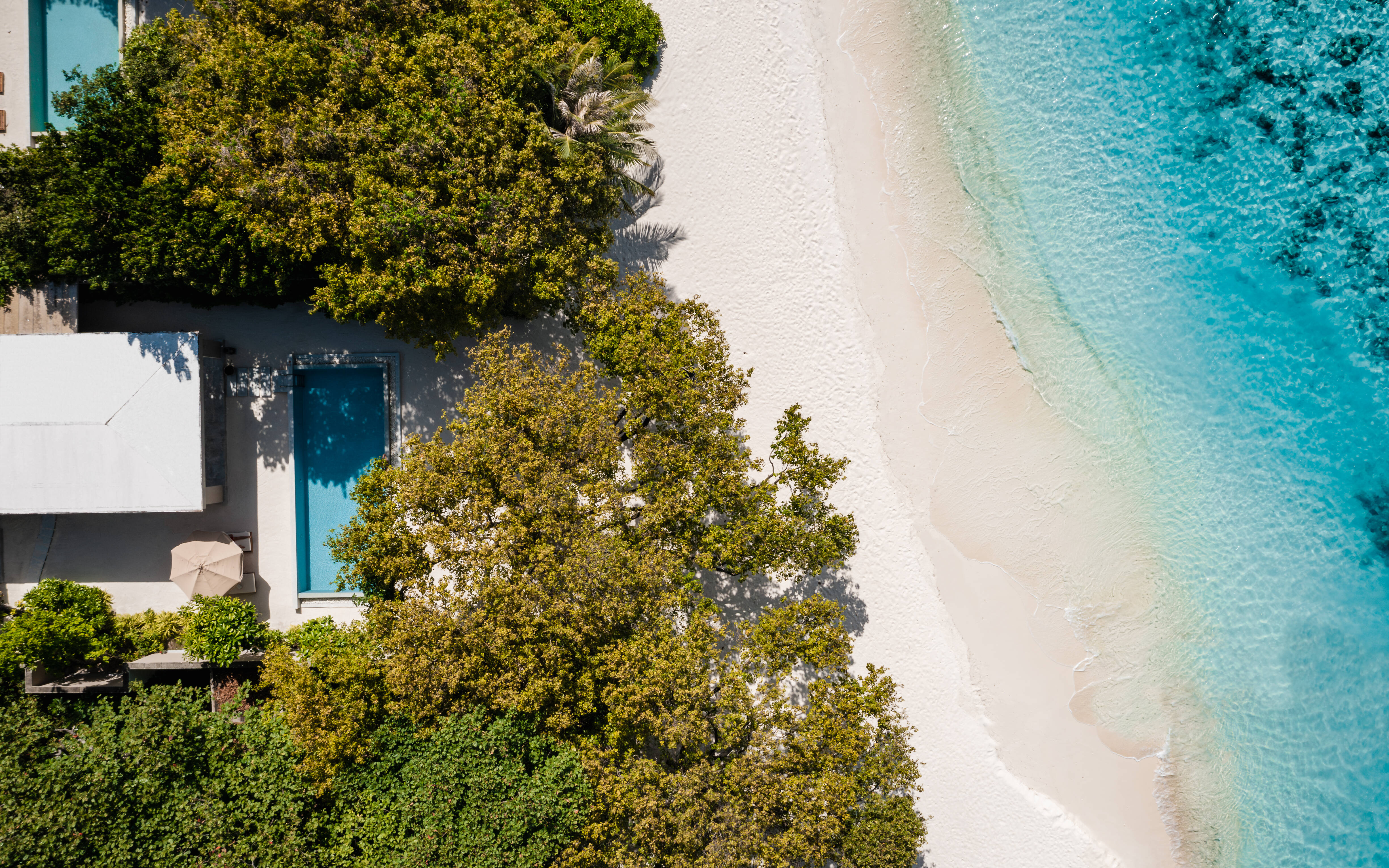 Amilla Maldives - Photo 13