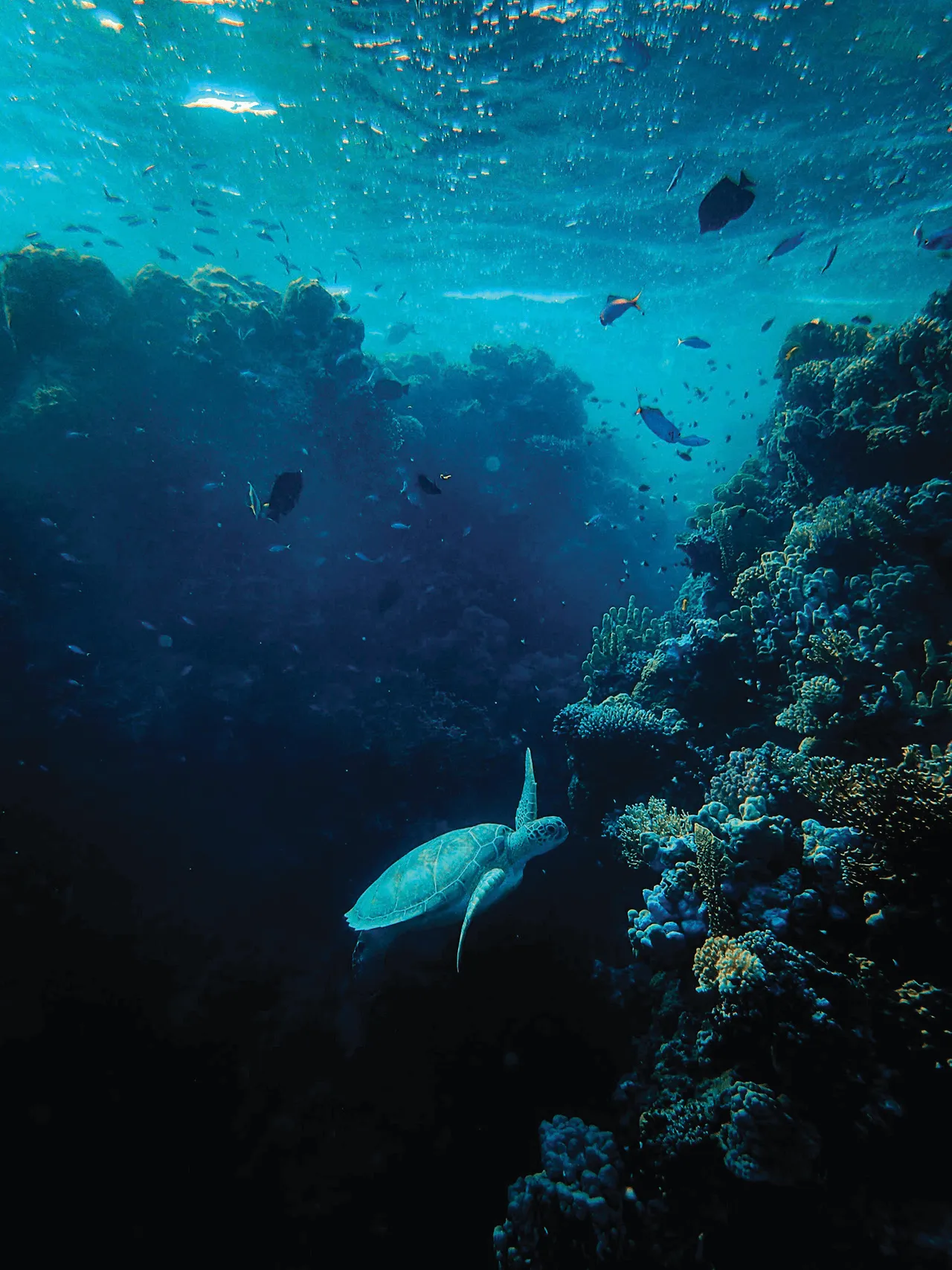 Huvafen Fushi - Photo 1