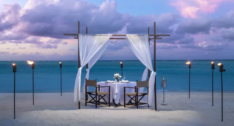 DESTINATION DINING