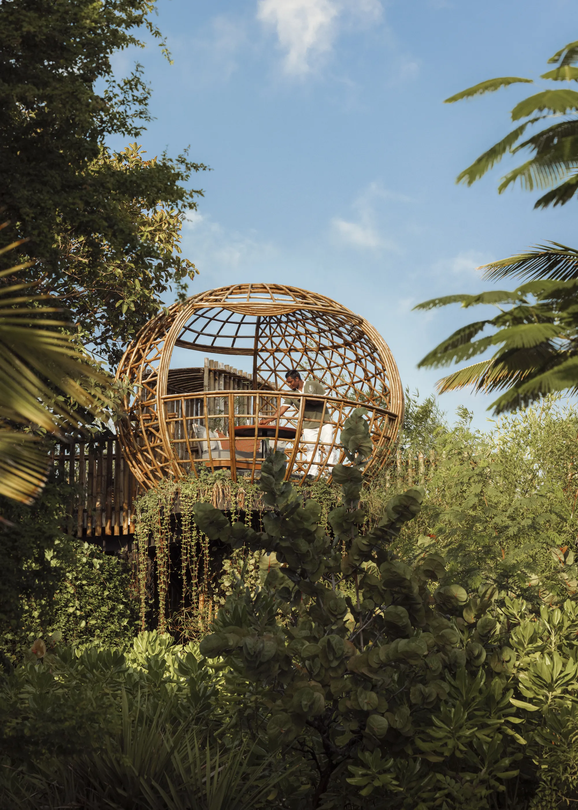 Terra Treetop Dining