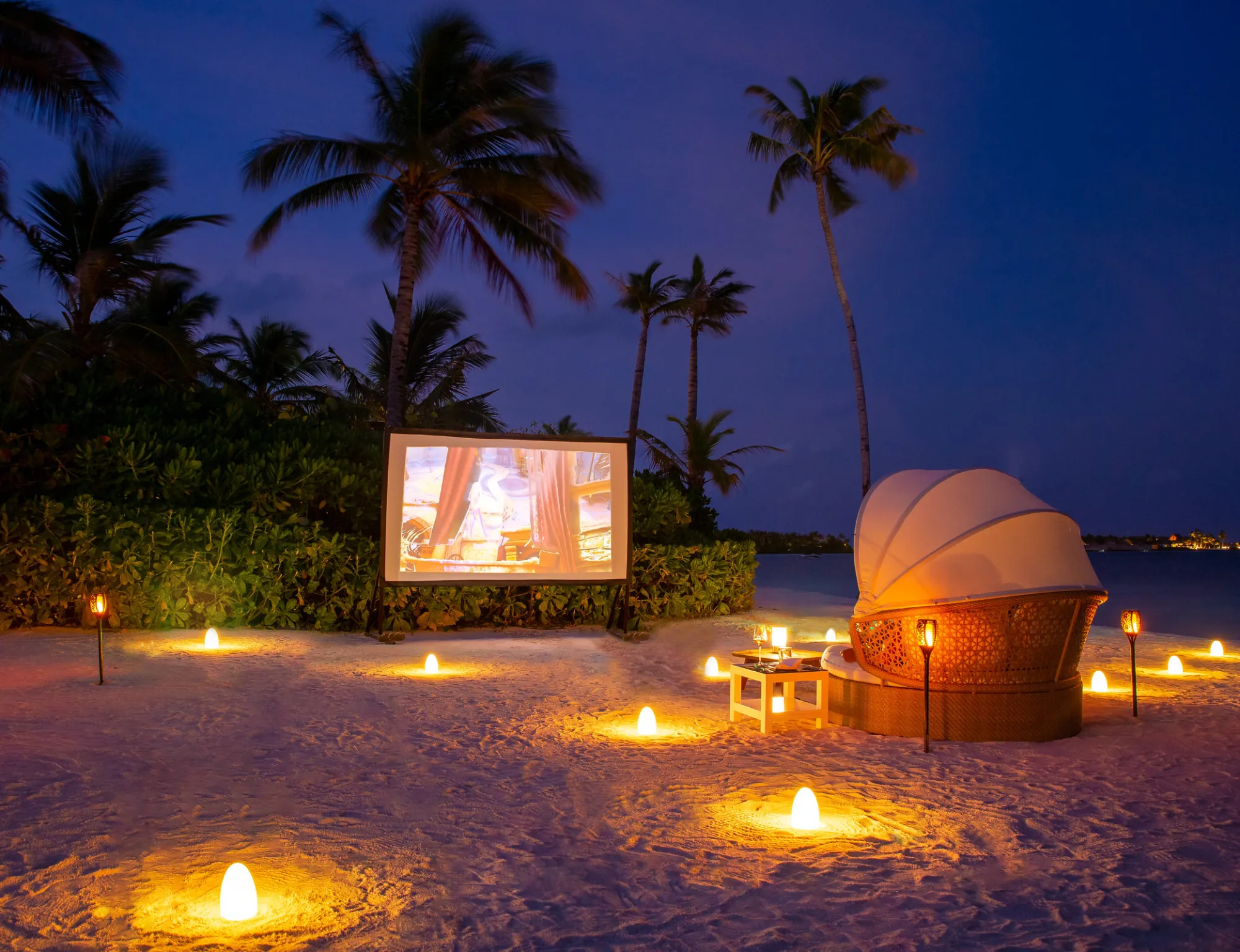 Cinema Under the Stars
