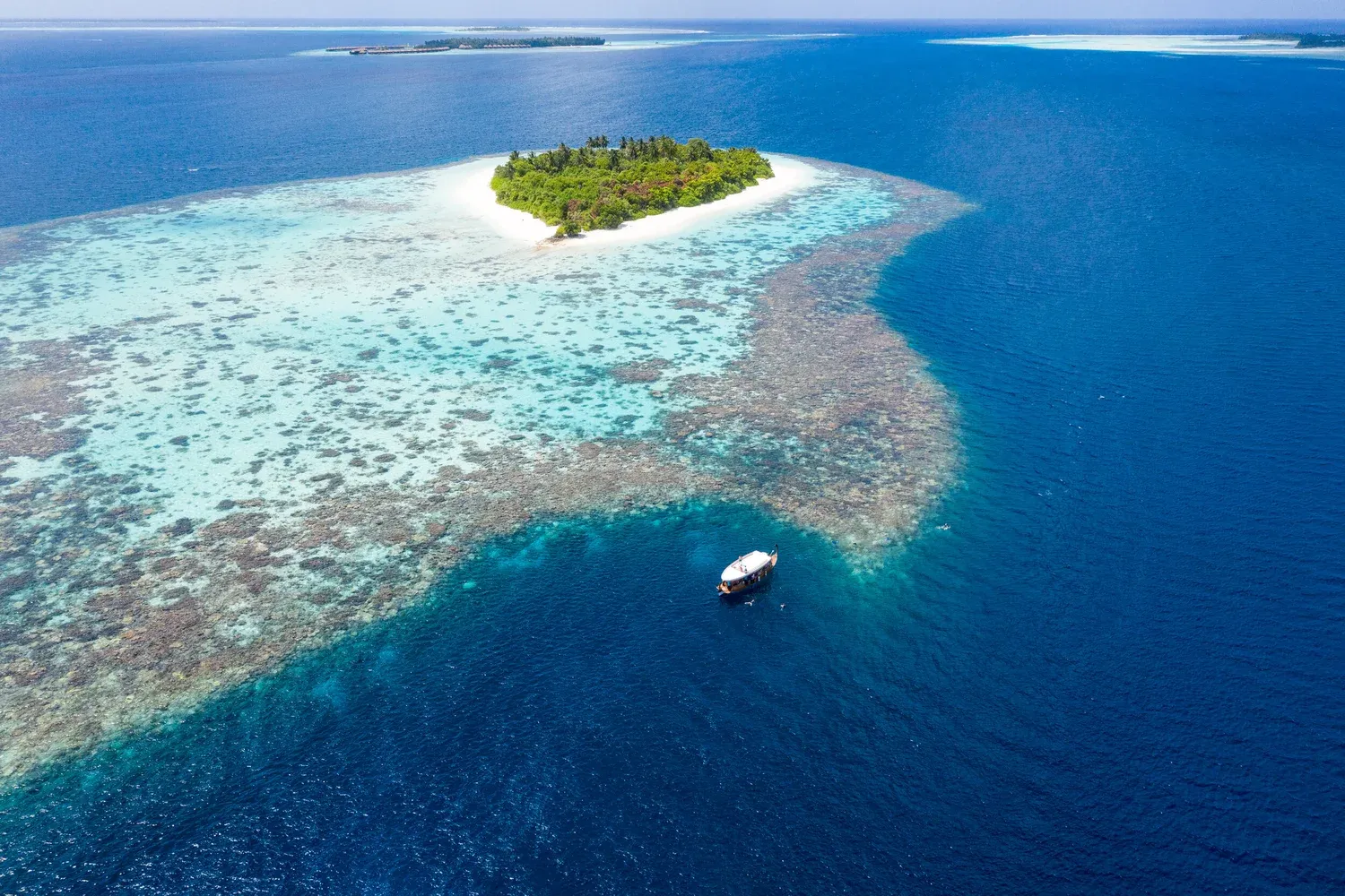 Island Safari