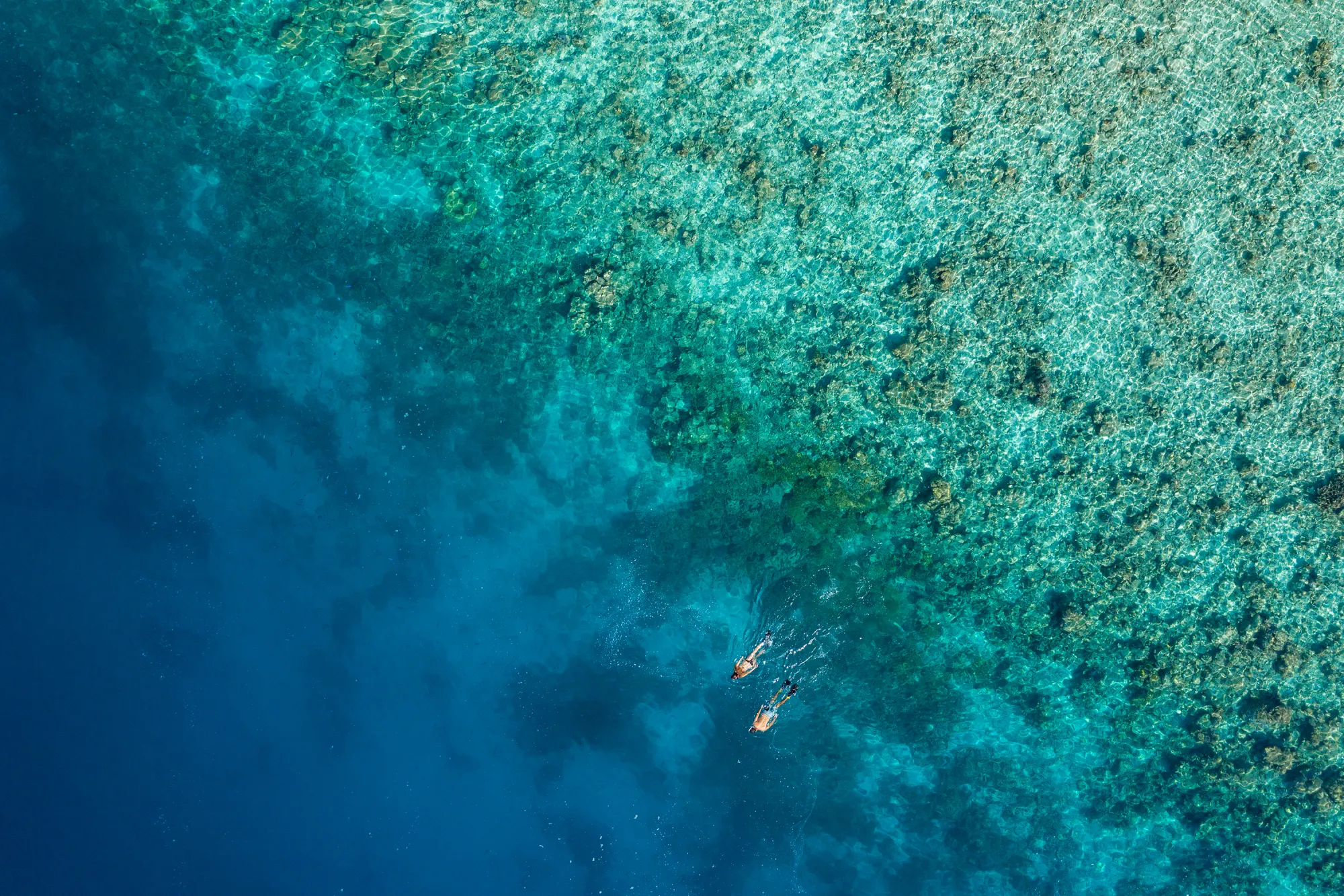 Maagau Reef Discovery