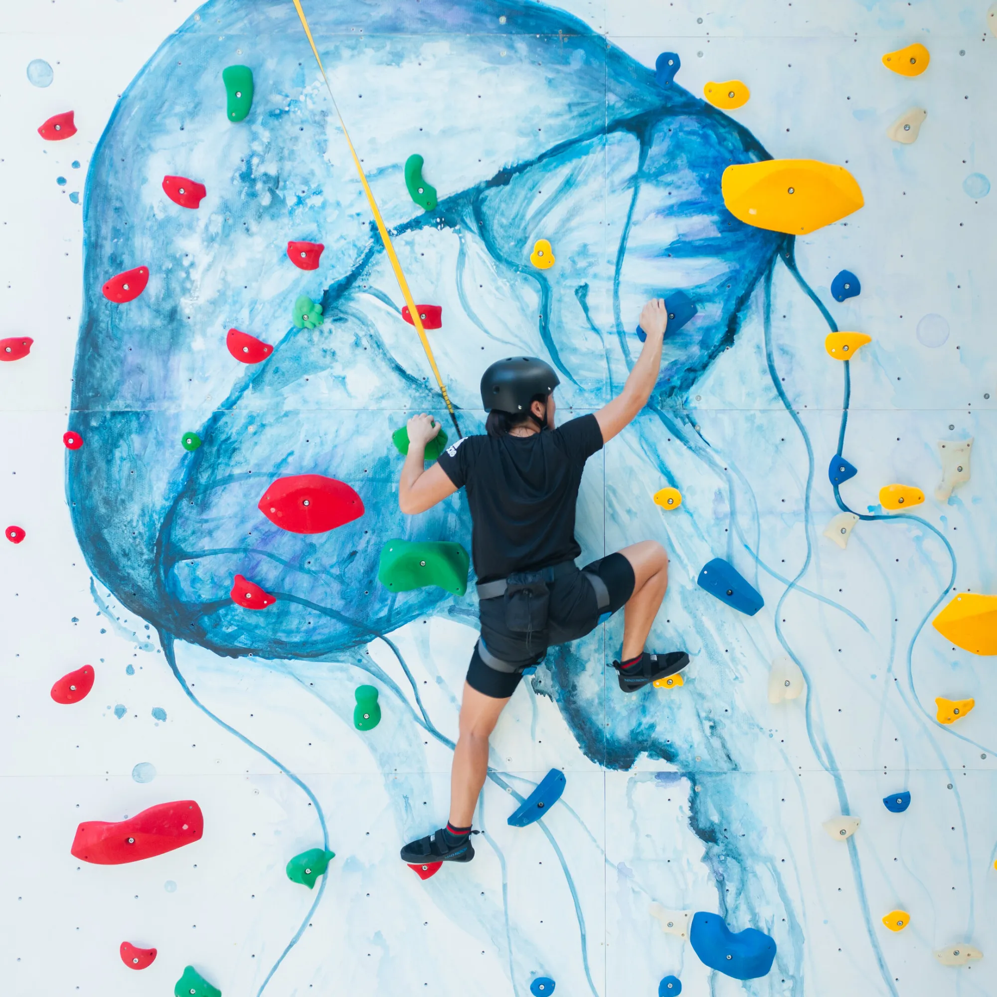 Climbing Wall