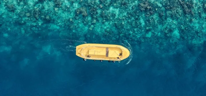 Semi-submarine Explorations