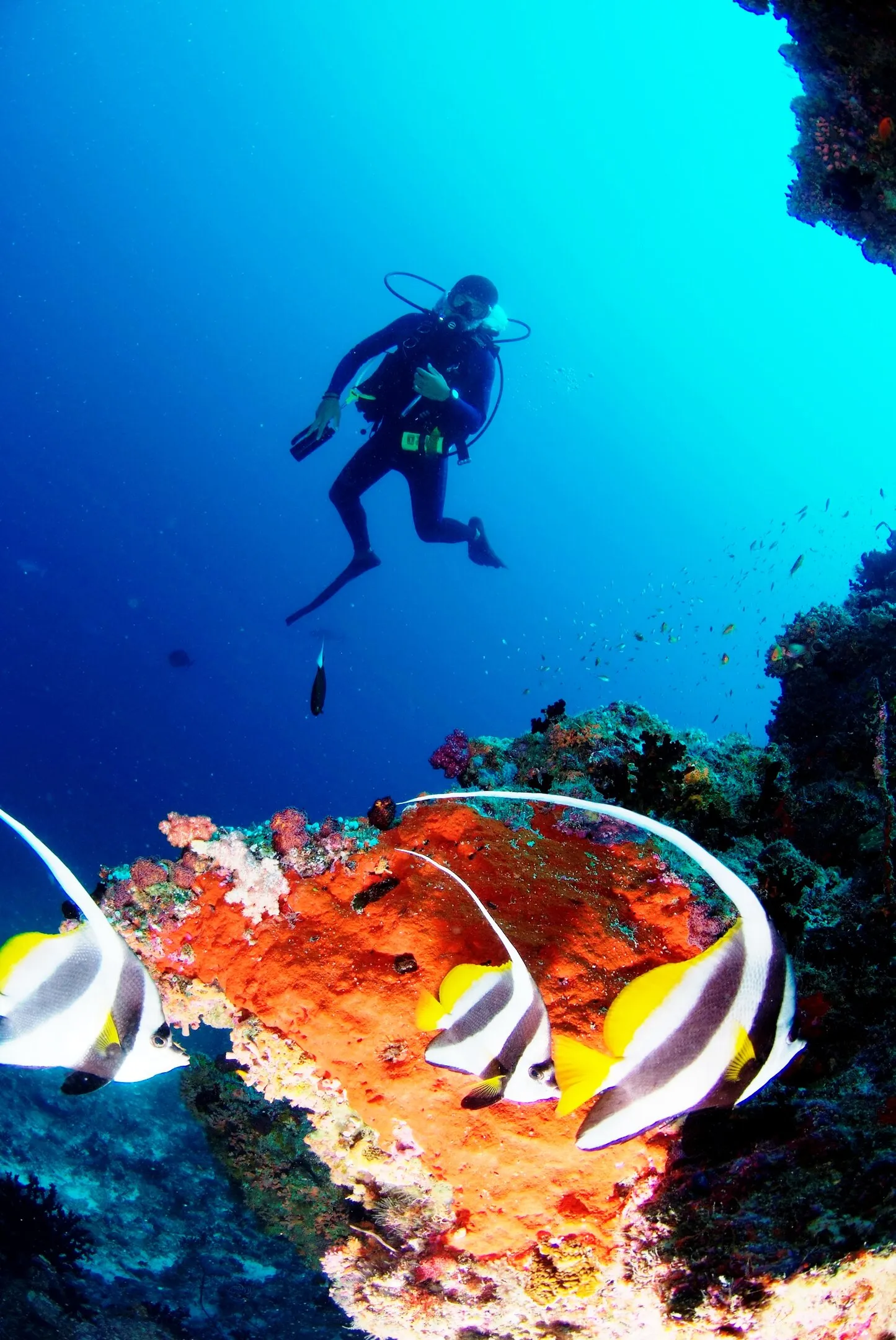 Scuba Diving