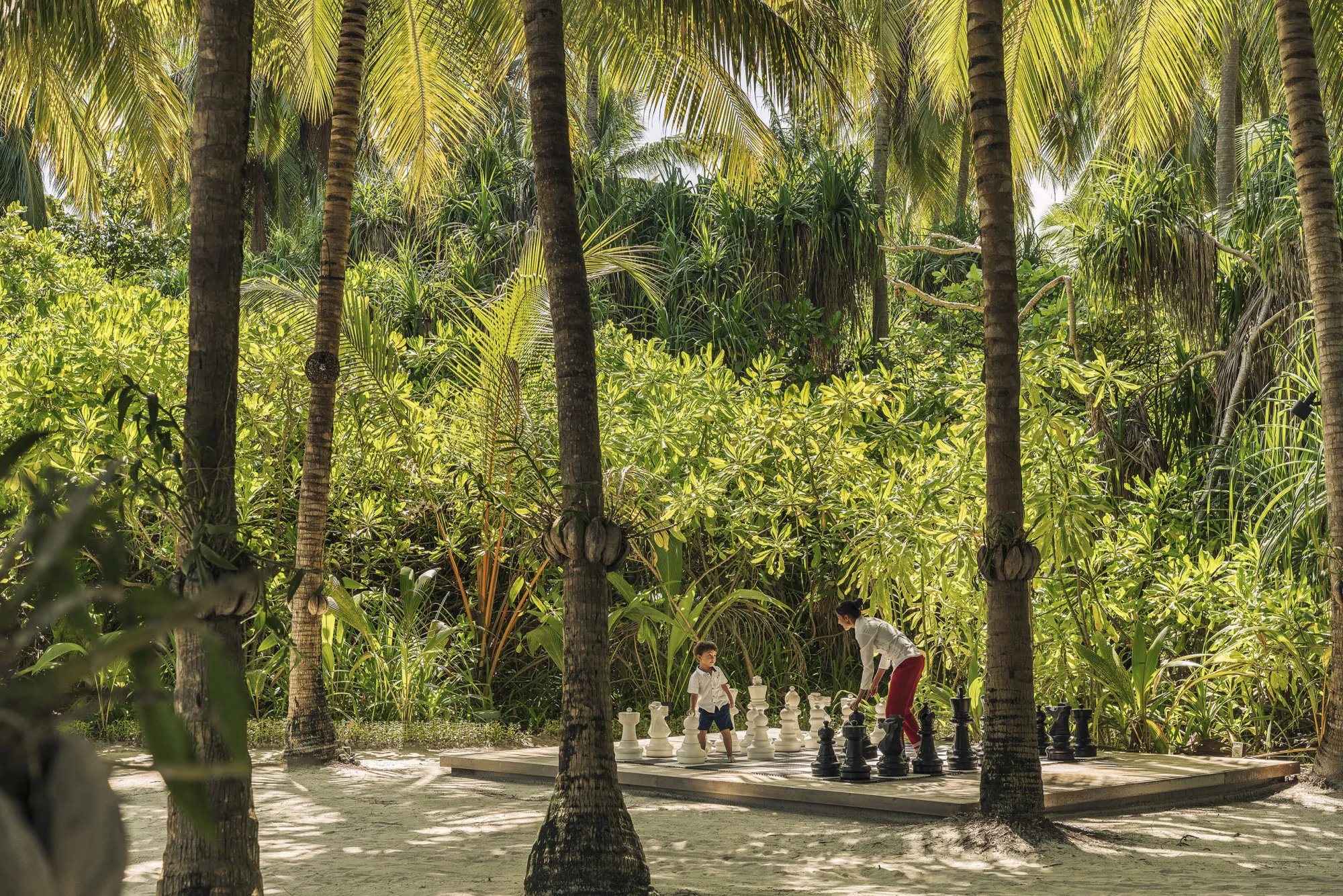 Recreation Area