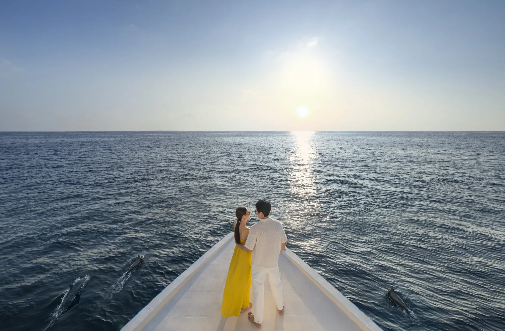 Sunset Dolphin Voyage