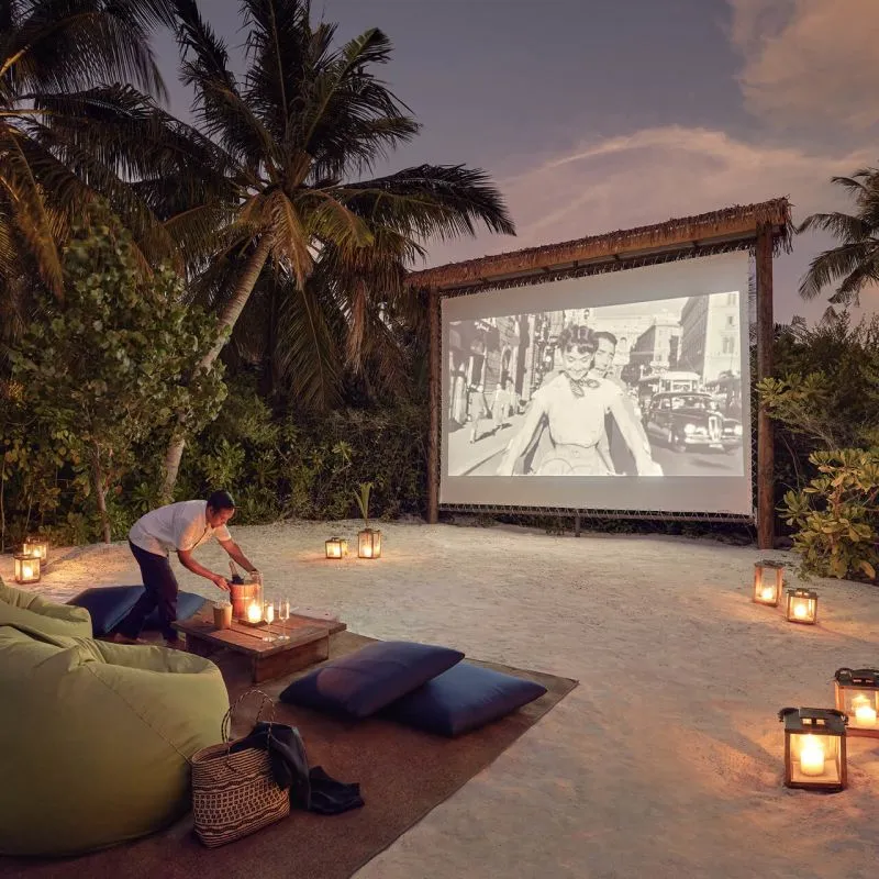 Cinema Under the Stars