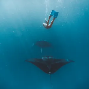 Diving Expeditions