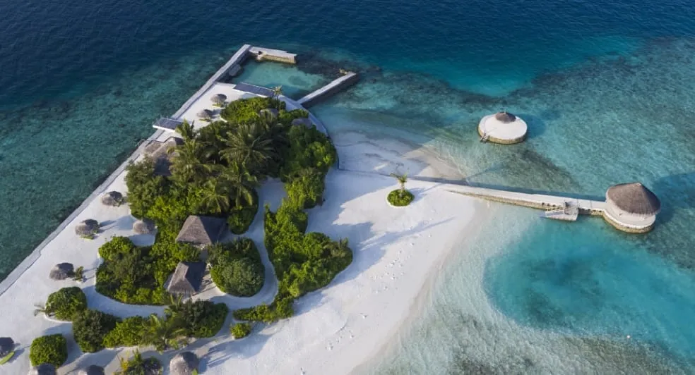 Island Picnic