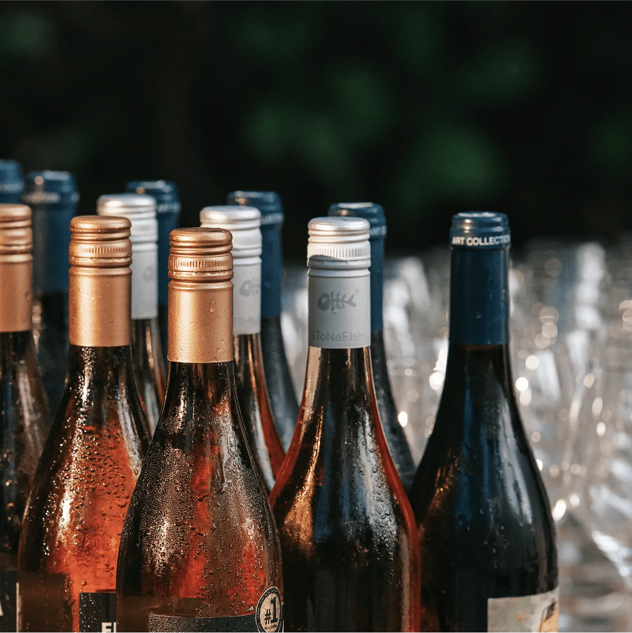 Wine Tasting