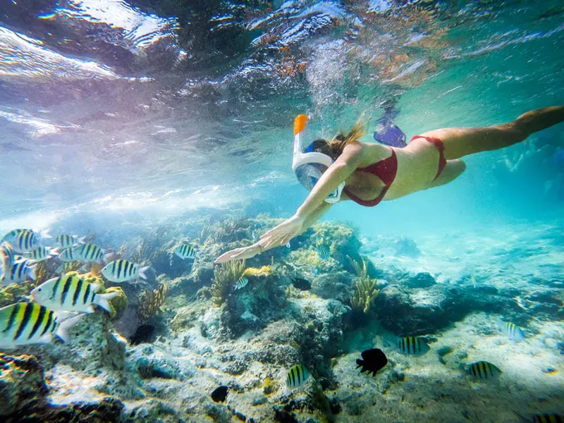 Snorkeling