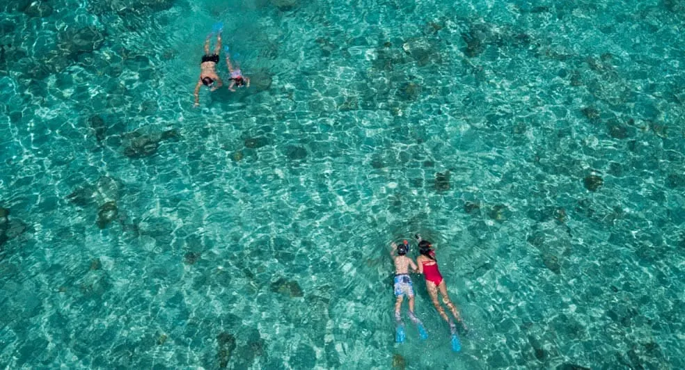 Snorkeling