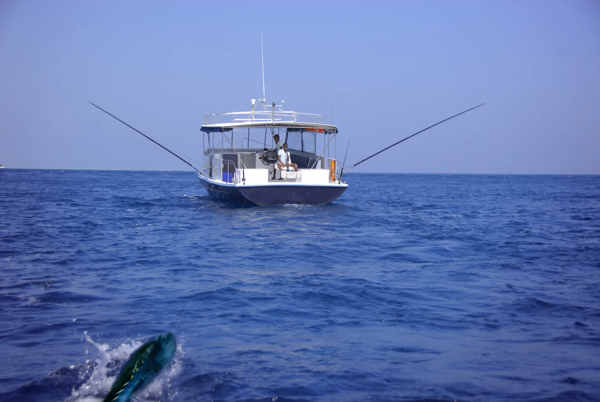 Fishing Expeditions