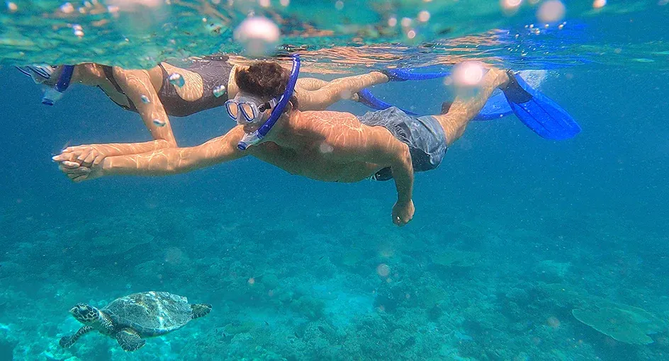 Snorkelling
