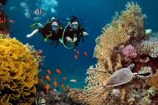 Diving