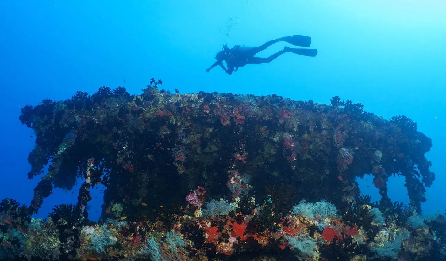 Diving Sites