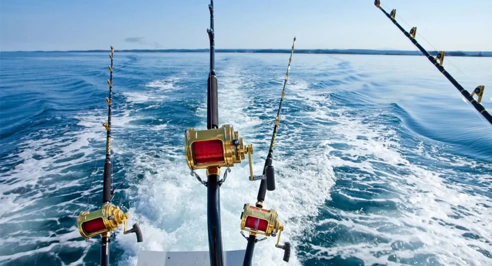 Big Game Fishing