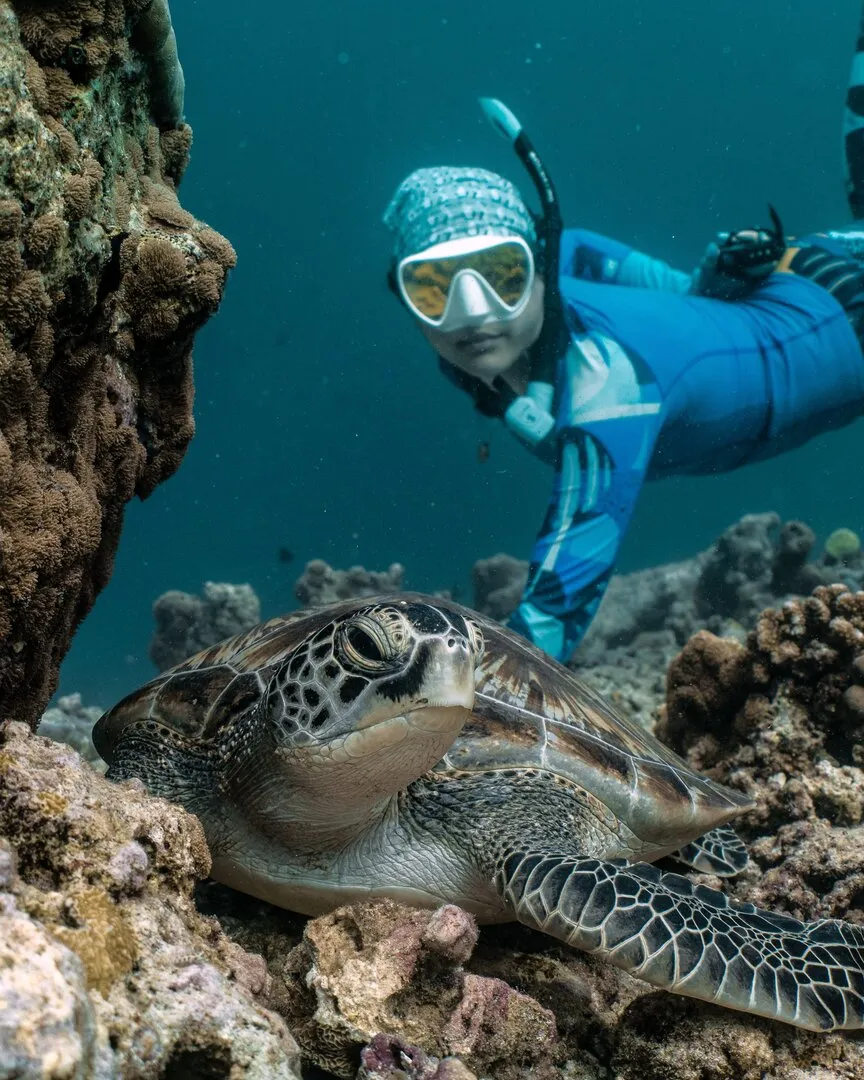 Snorkelling