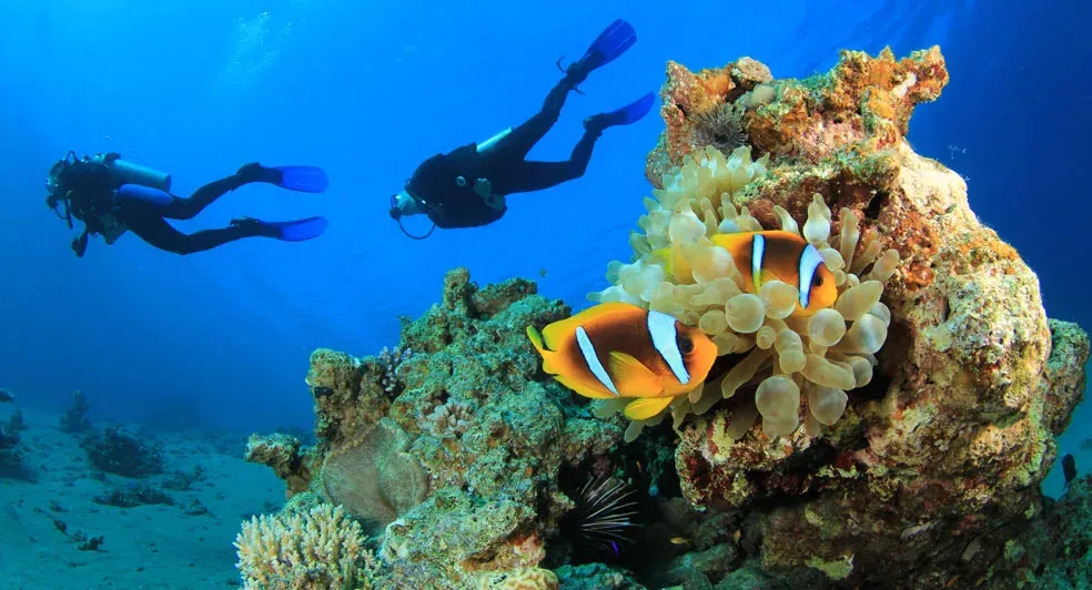 Discover Scuba Diving
