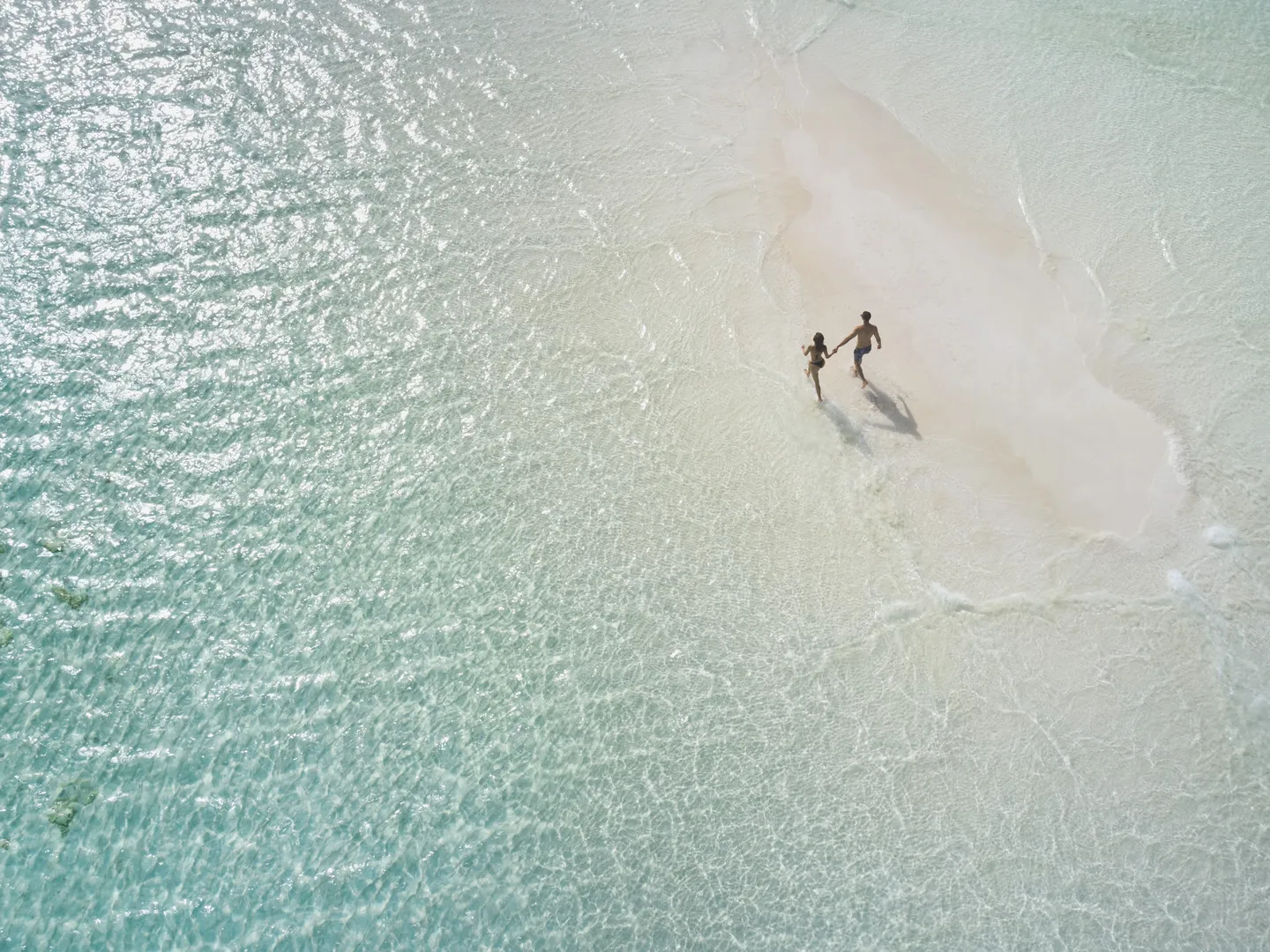 Sandbank Picnic