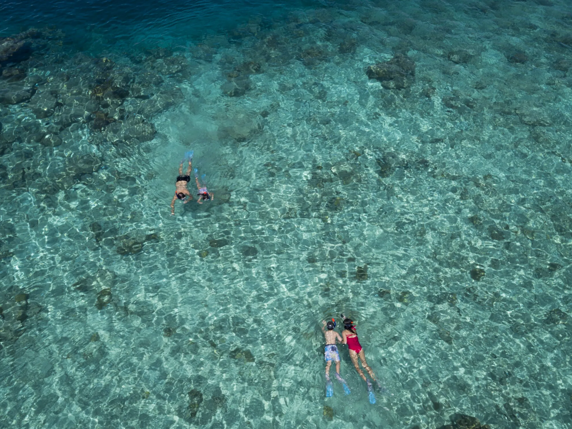 Snorkelling