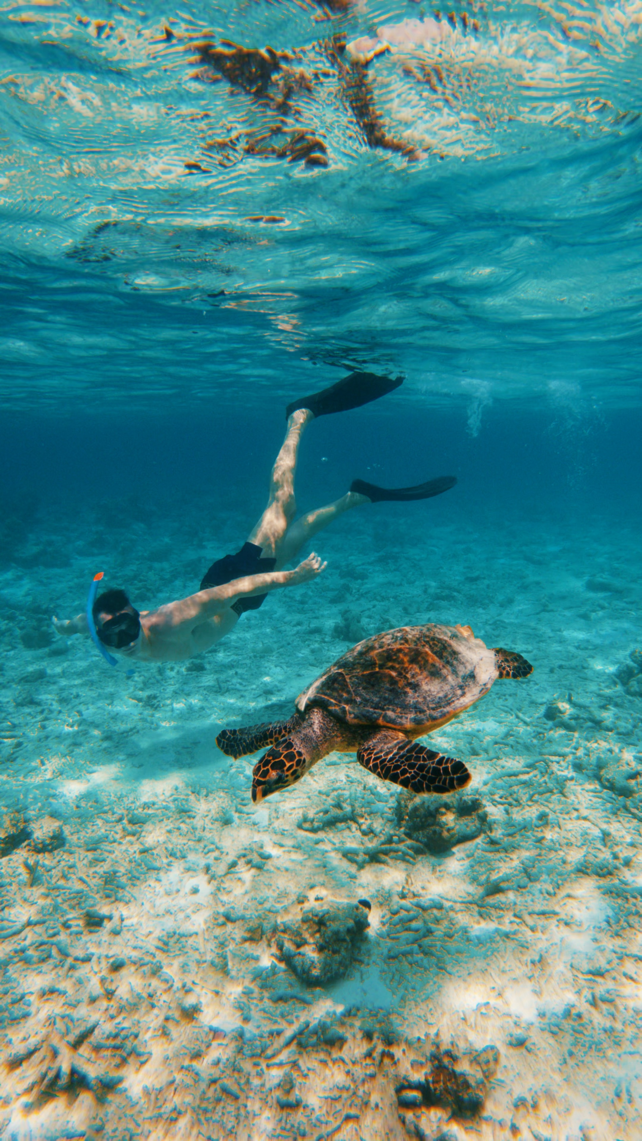 Snorkeling
