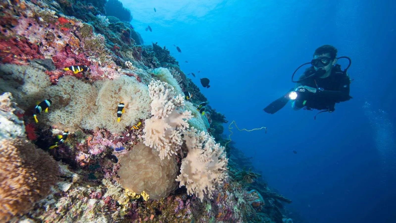 Marine Biology Center