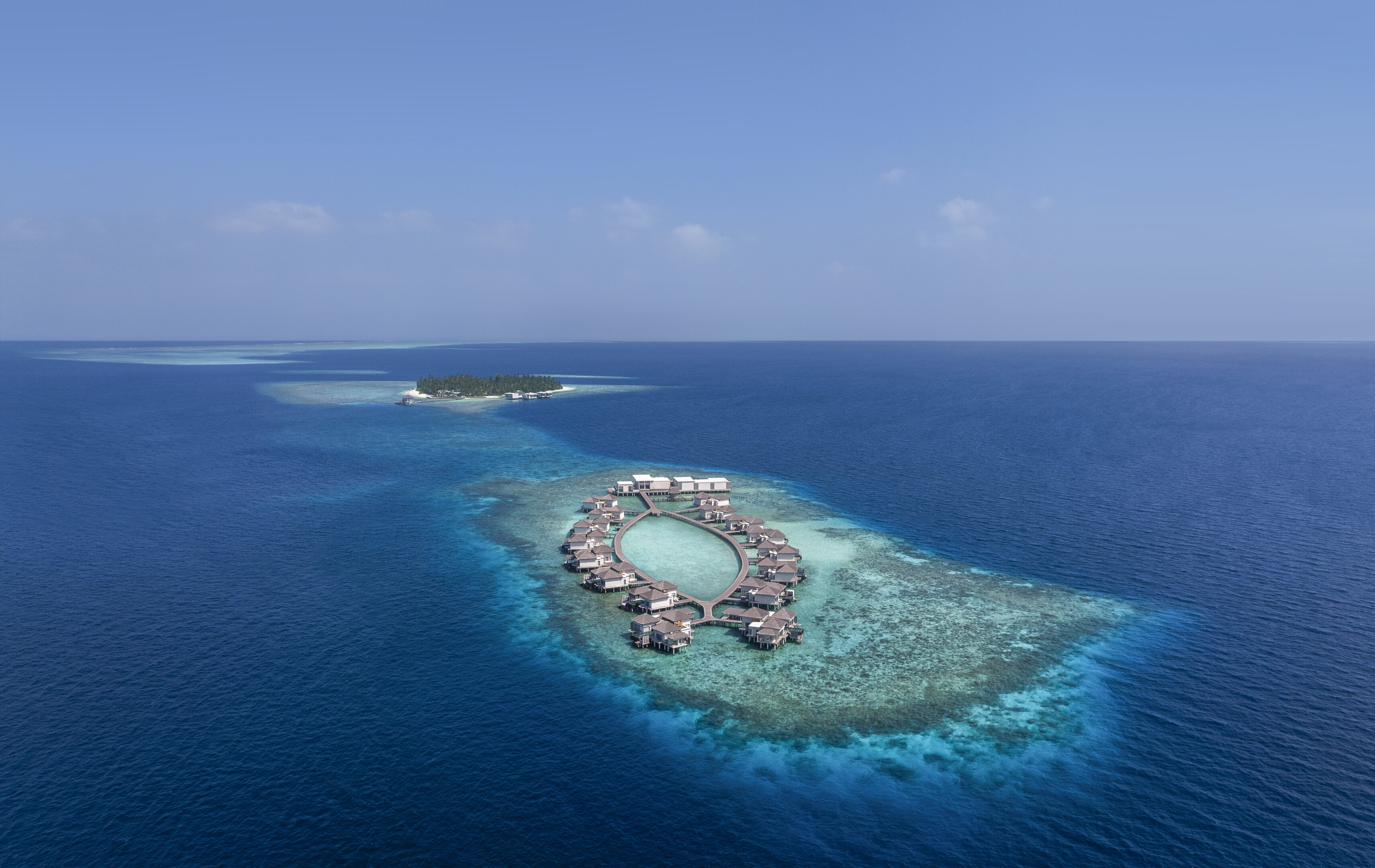 Encounter Whale Sharks in Huvadhoo Atoll