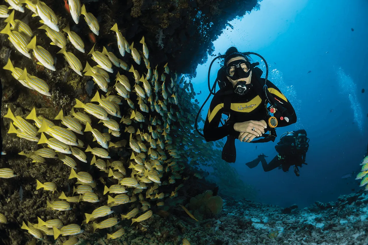 OPEN WATER DIVER COURSE