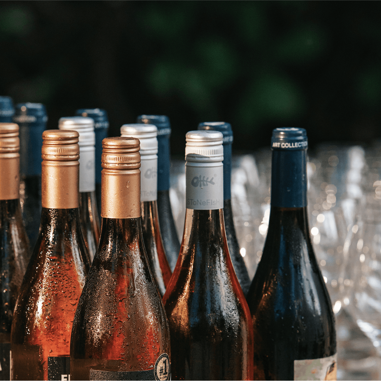 Wine Tasting