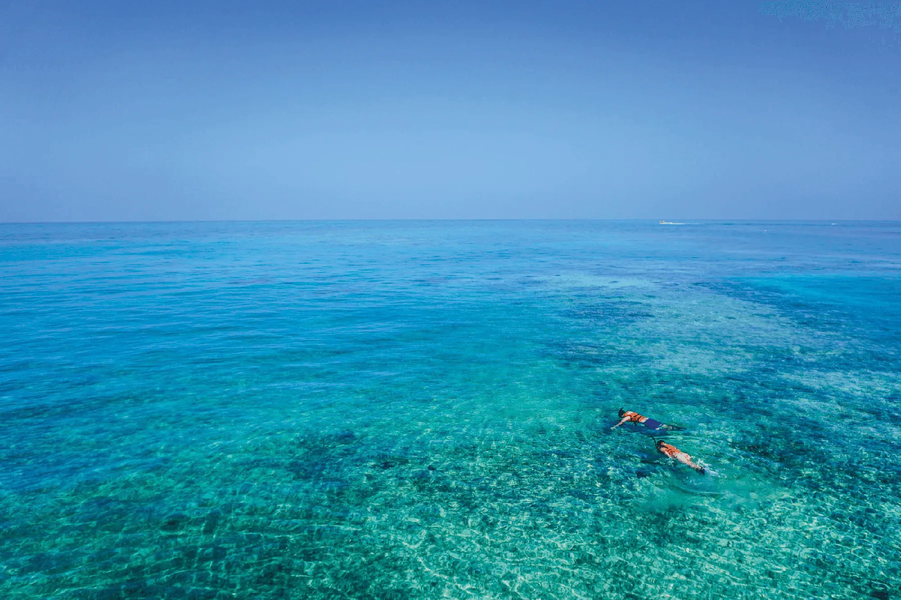 GUIDED HOUSE REEF SNORKEL